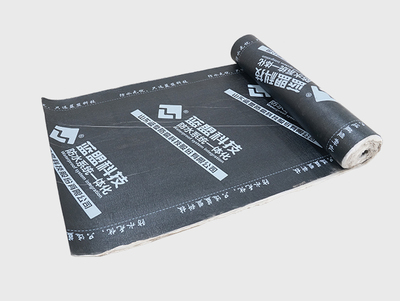 防水材料 創(chuàng)新科技守護建筑安全